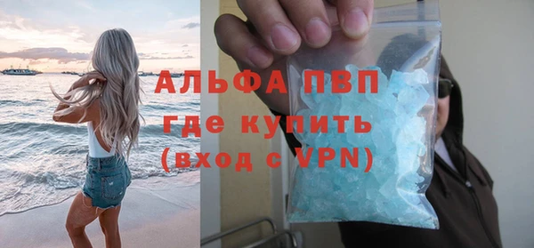 прущие грибы Няндома