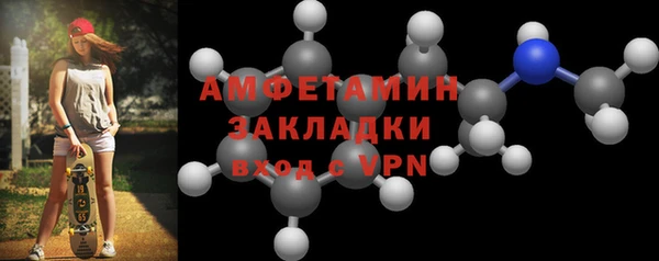 прущие грибы Няндома