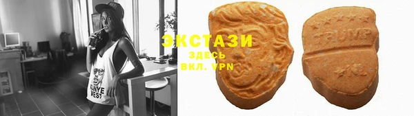 прущие грибы Няндома