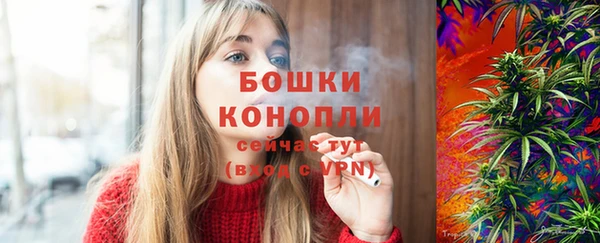 прущие грибы Няндома