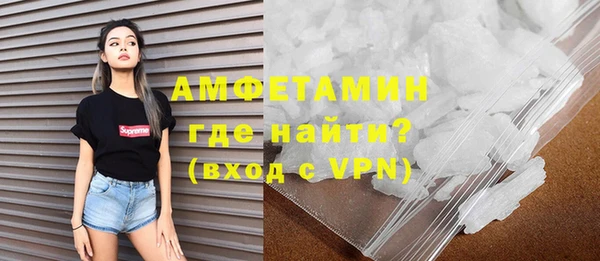 прущие грибы Няндома