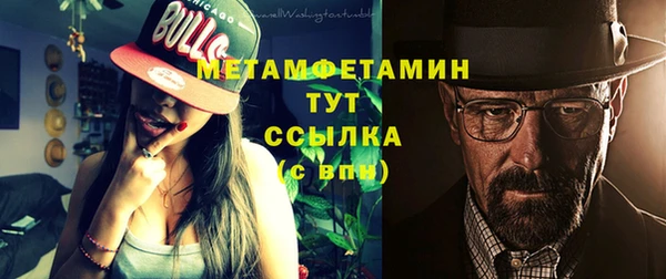 прущие грибы Няндома