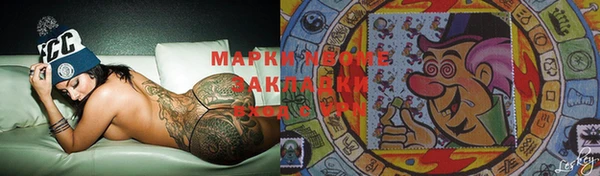 прущие грибы Няндома