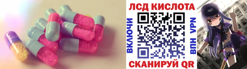 как найти закладки  Шали  ЛСД экстази ecstasy 